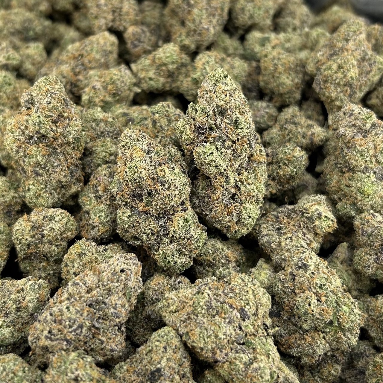 Candy Kamikaze FD#2567