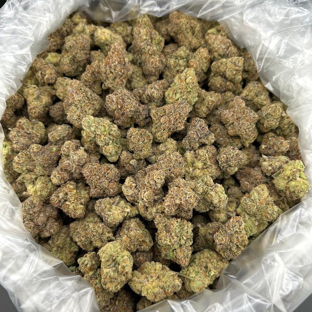 Candy Mimosa FD#2475