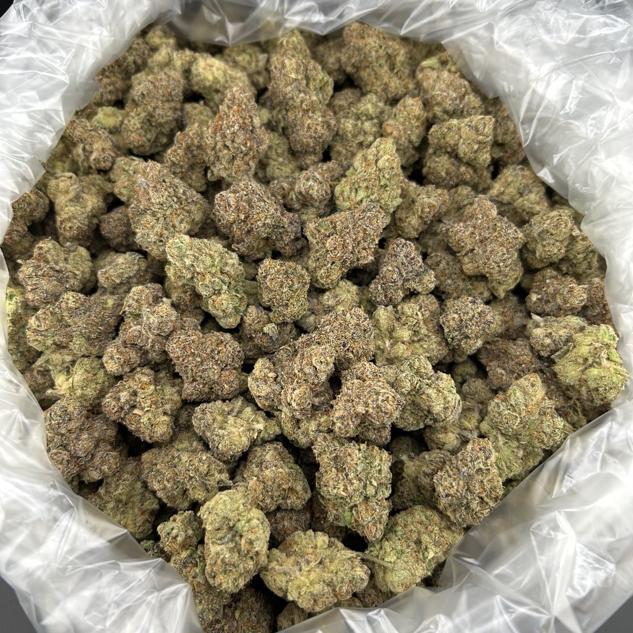 Candy Mimosa FD#2475