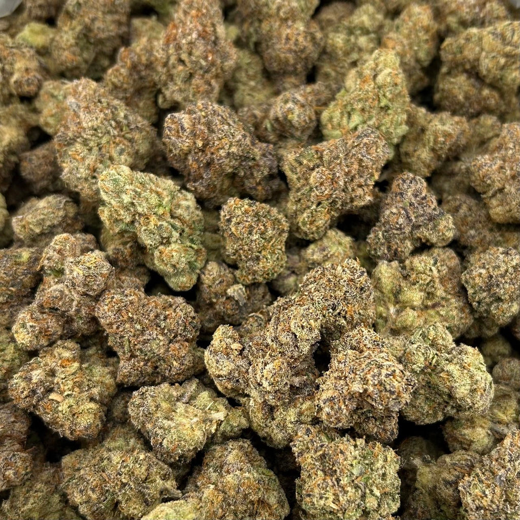 Candy Mimosa FD#2475