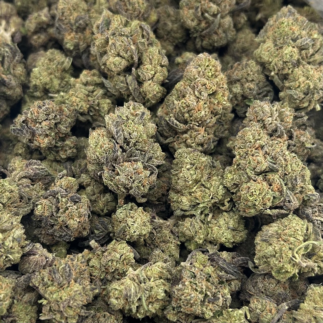 Cherry Bombs FD#2638