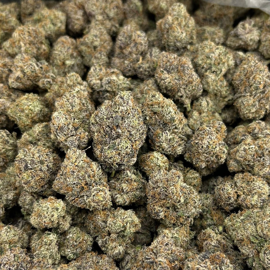 Clout Chasin Mochi FD#2568