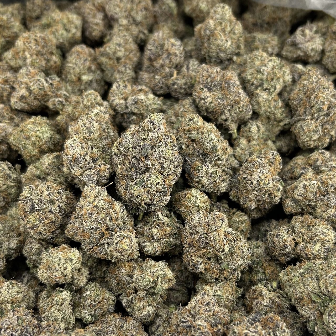 Clout Chasin Mochi FD#2568