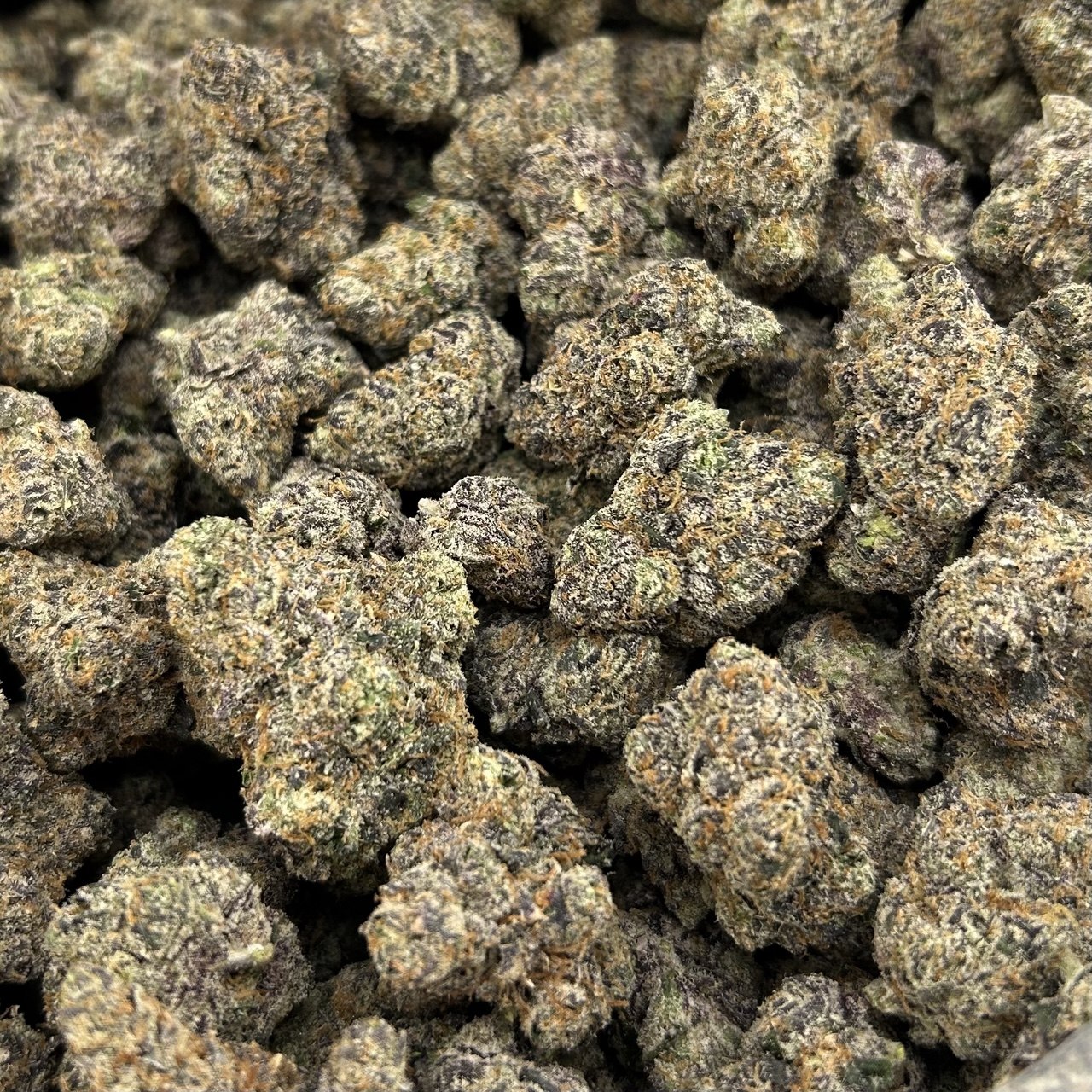 Crybaby Sugar Runtz FD#2569