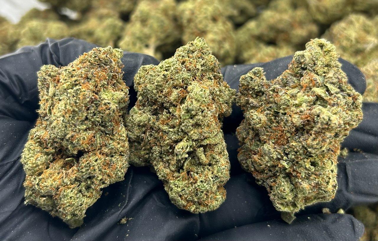 Cherry Pomelo FD#2243