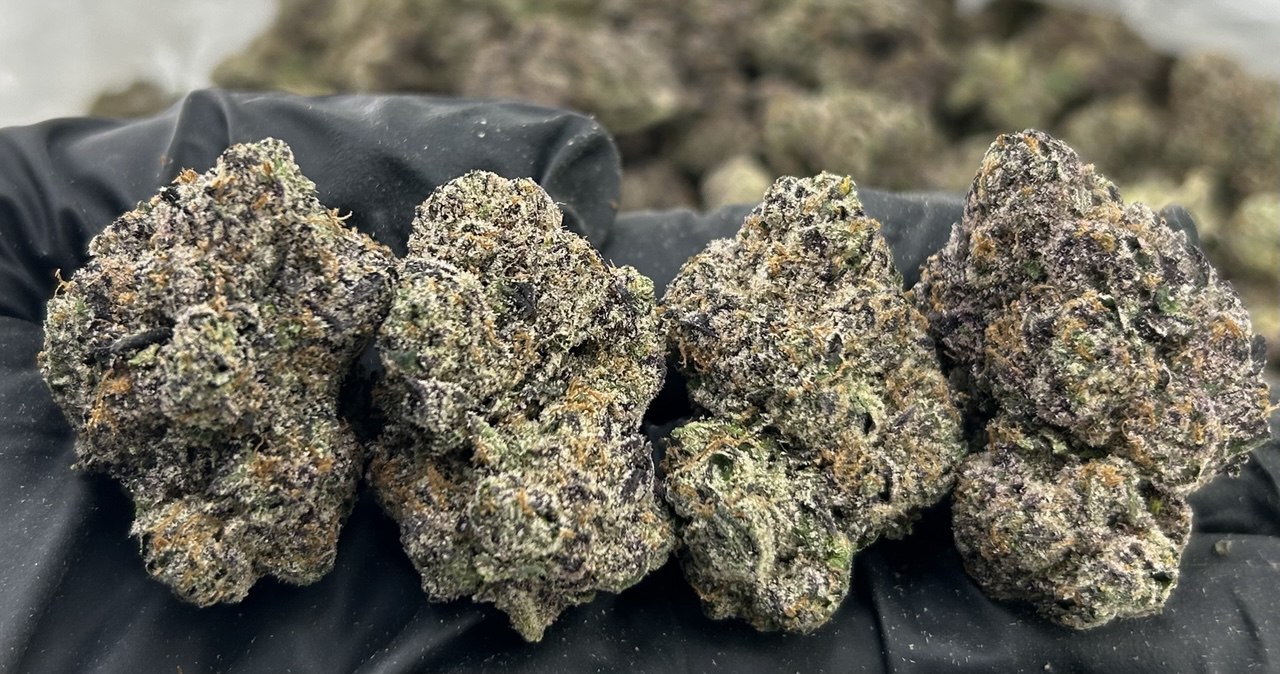 Cherry Saints FD#2369