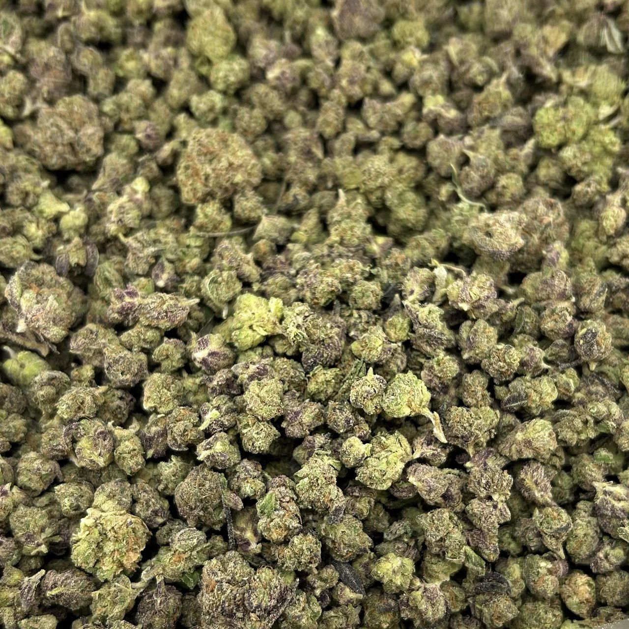 Candy Lemon Trap Smalls FD#2598