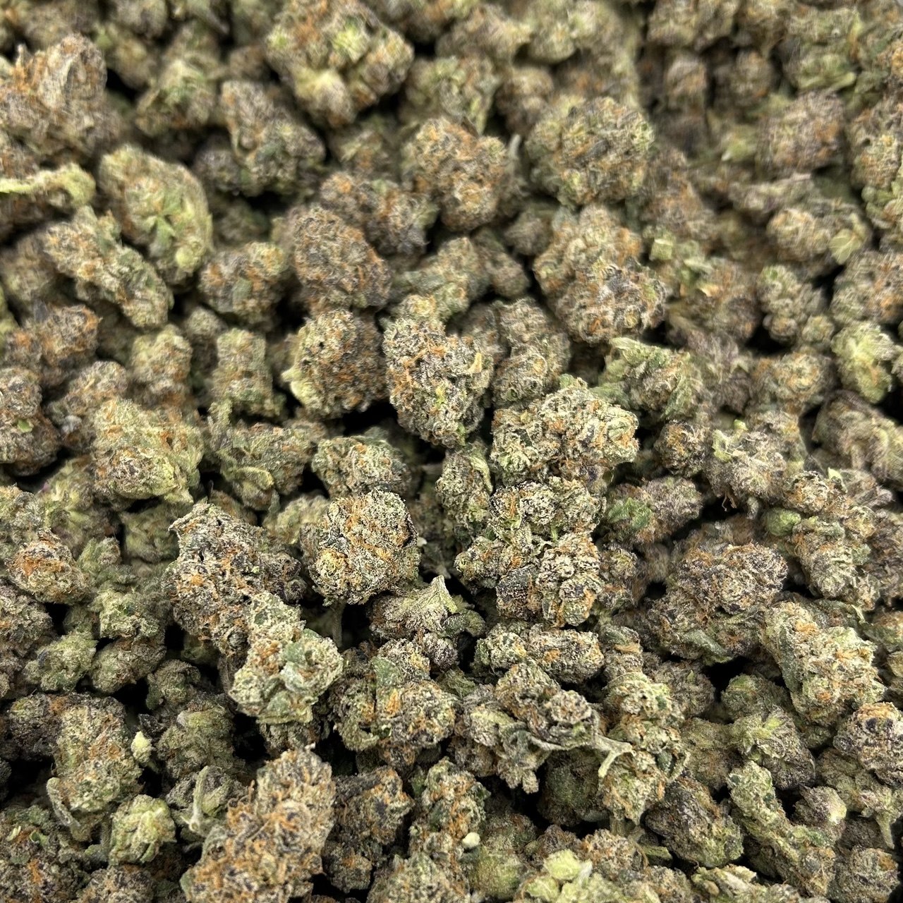 Blastberry Smalls FD#2599