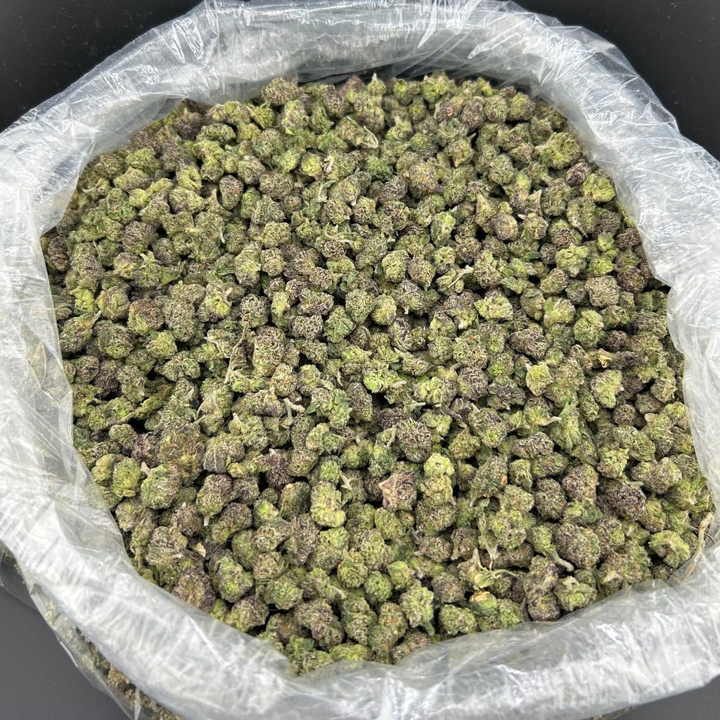 DumDum Smalls FD#2600