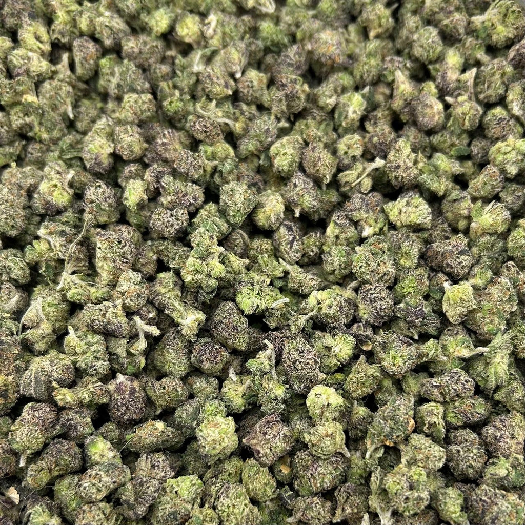 DumDum Smalls FD#2600