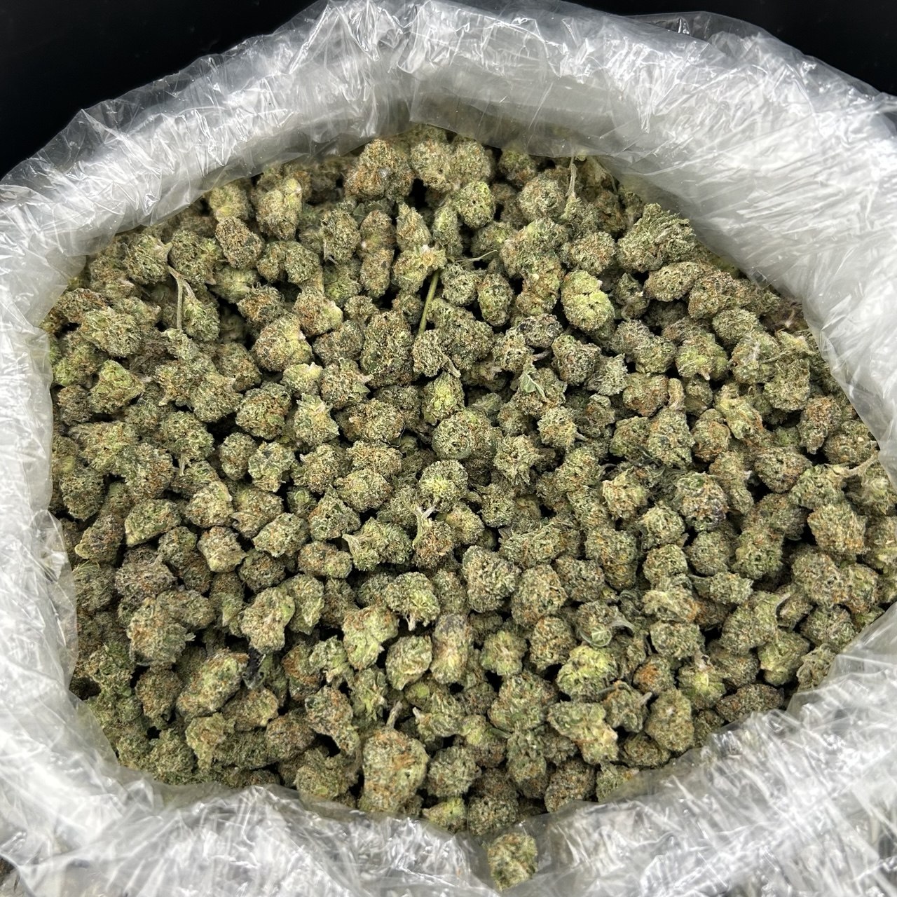 Grape Gas Smalls FD#2689