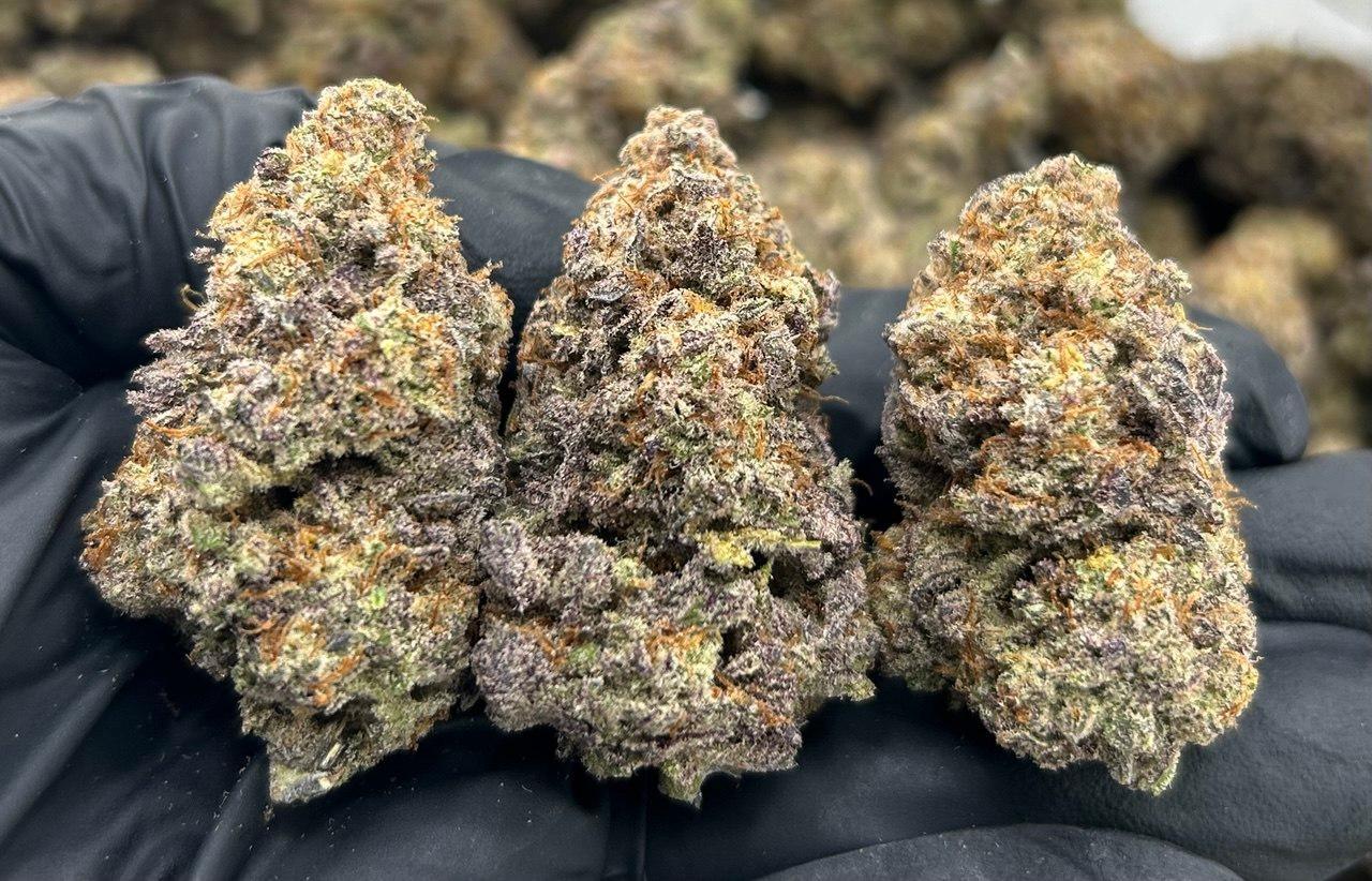 Black Cherry Soda FD#2261