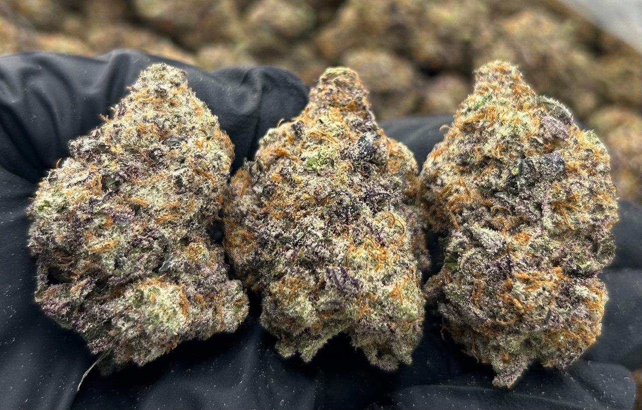 Sundae Driver FD#2265