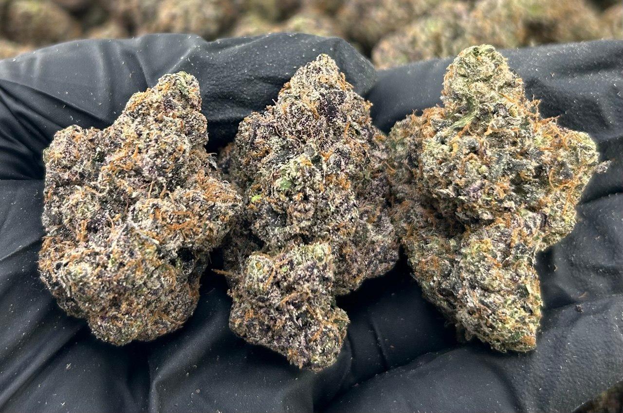 Bubblegum Zazooka FD#2279