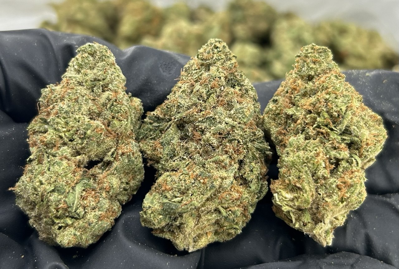 Hawaiian Sorbet FD#2336