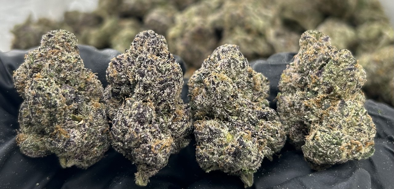 Purple Dum Dum FD#2339