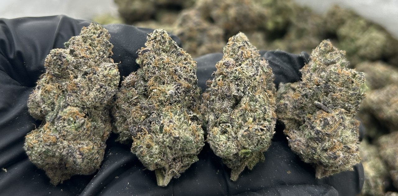 Razzle Dazzle Runtz FD#2343