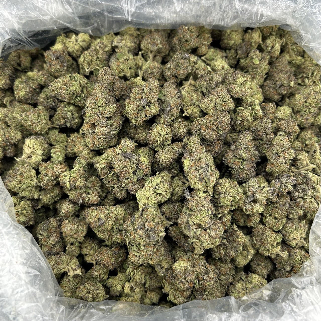 Fruity Pebblez FD#2579