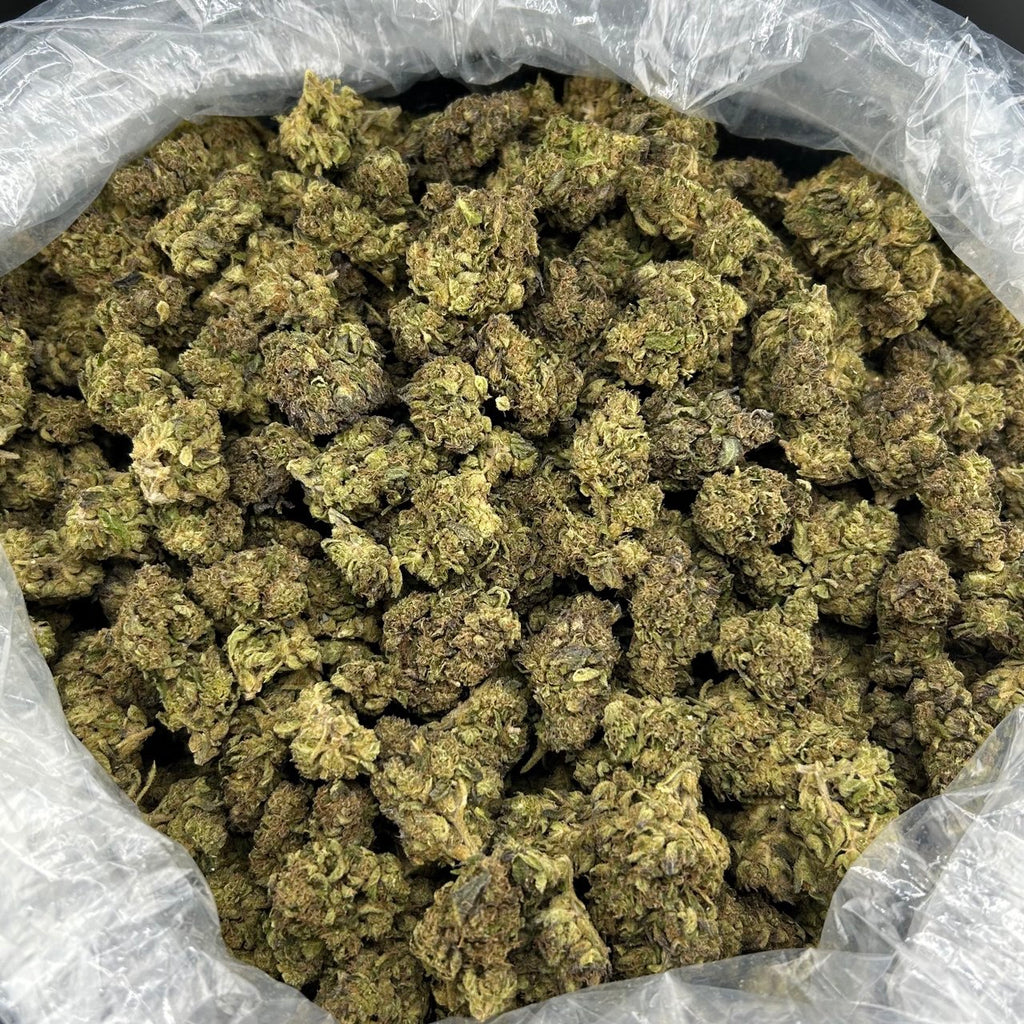 Gorilla Runtz FD#2628