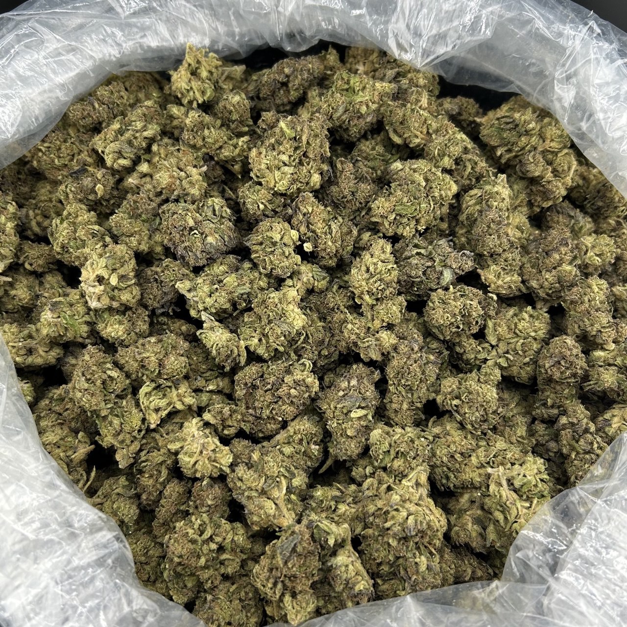 Gorilla Runtz FD#2628