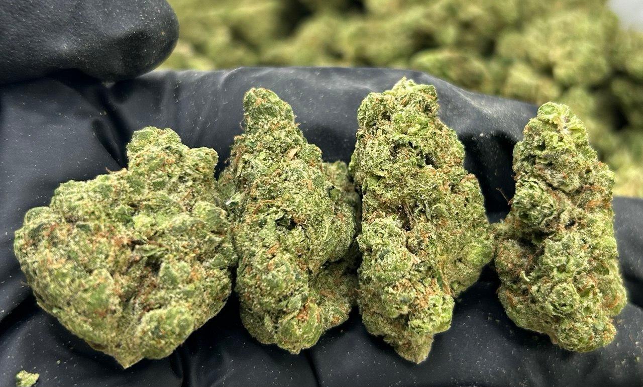 Giraffe Pussy FD#2189