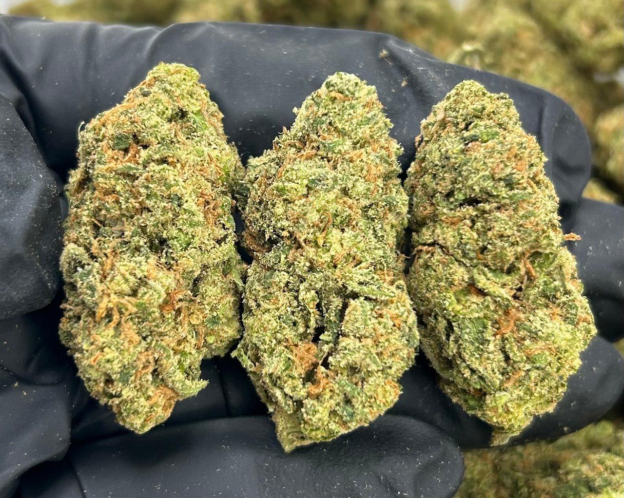 Glitter Bomb FD#2186