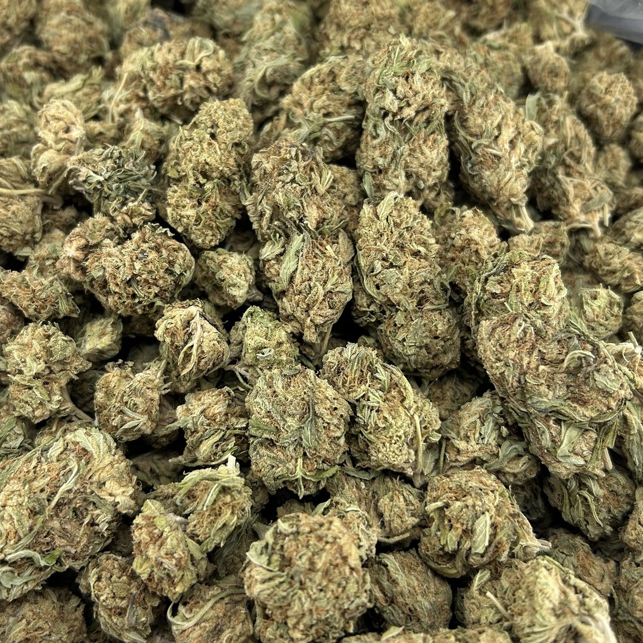 Khalifa Kush FD#2587