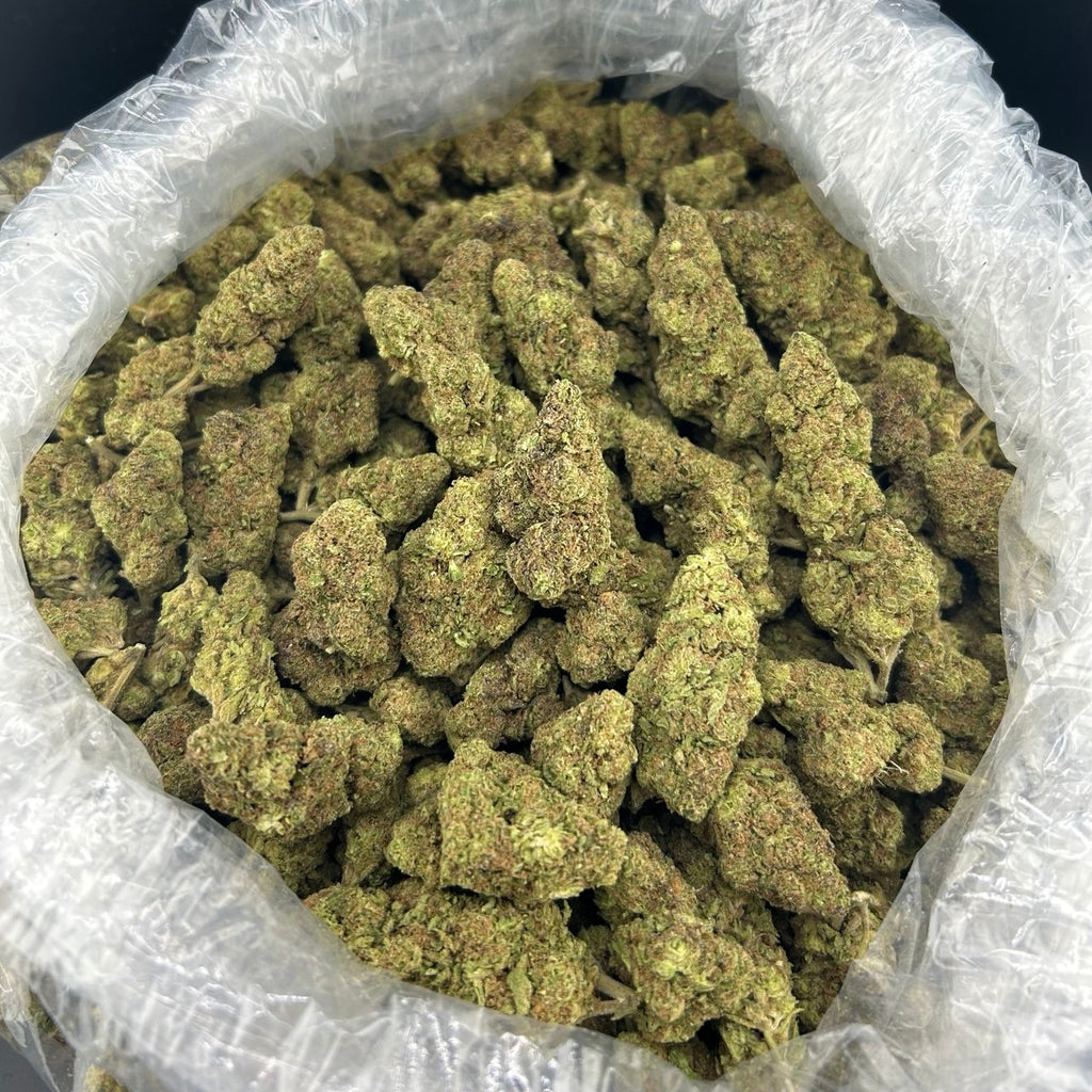 Kushlato FD#2635