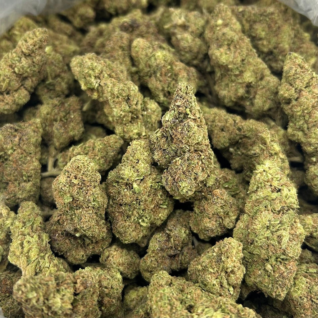 Kushlato FD#2635