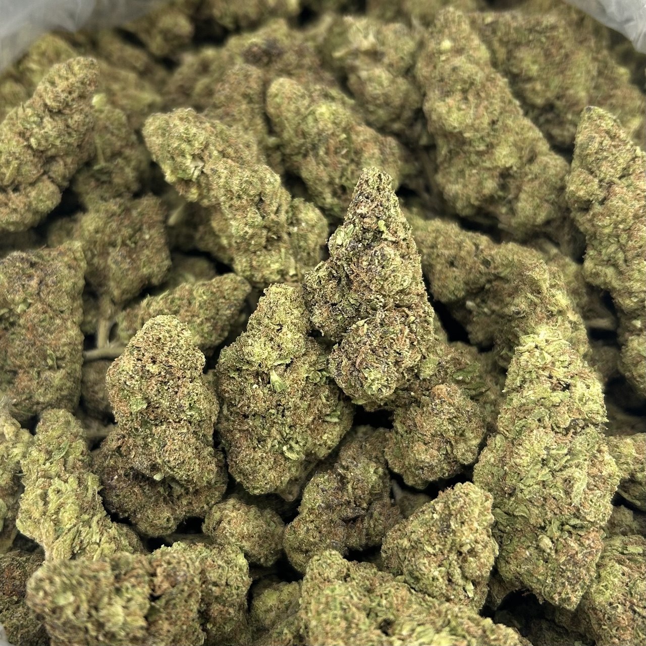 Kushlato FD#2635