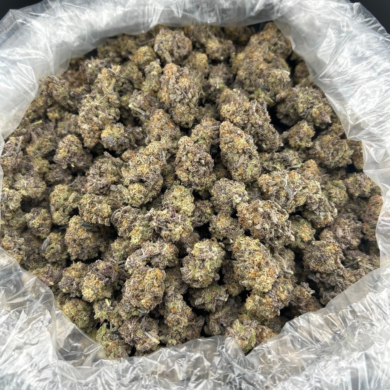 Mac n Cheese FD#2573