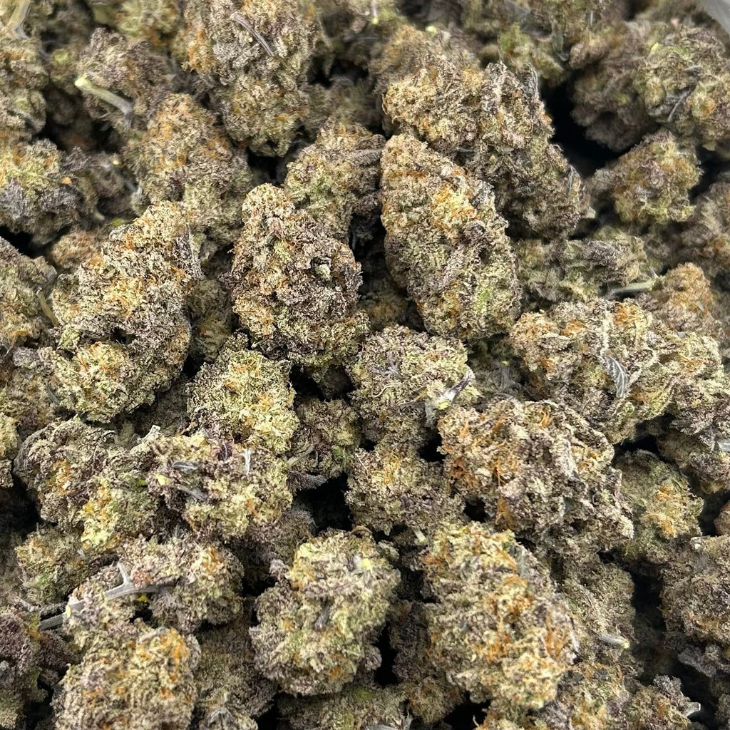 Mac n Cheese FD#2573