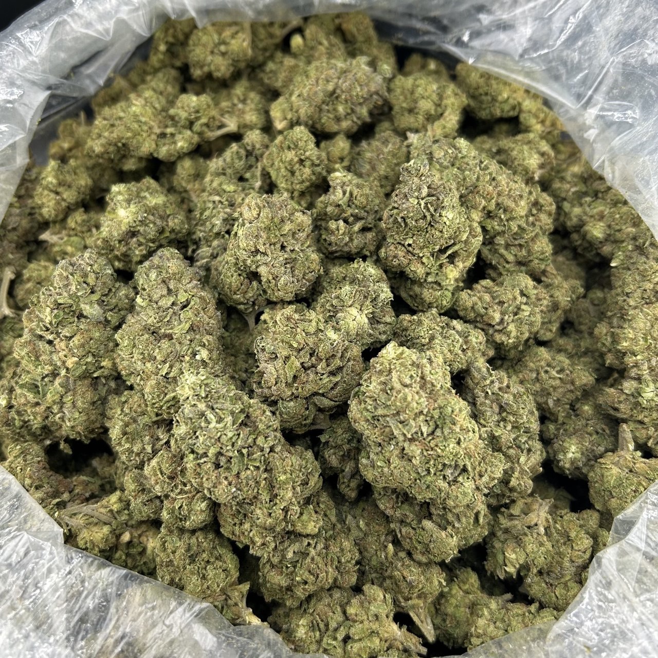 Neapolitan Runtz FD#2503