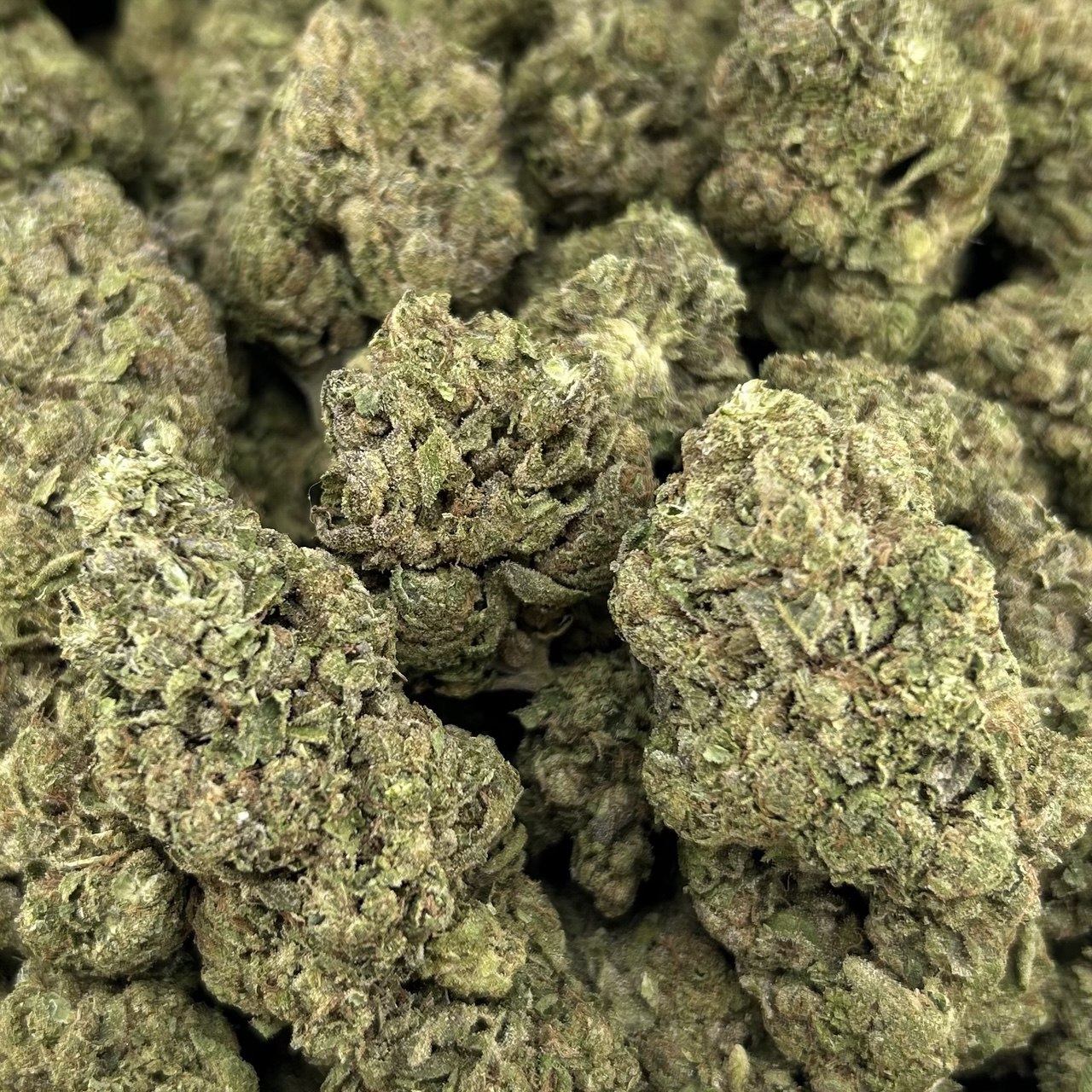 Neapolitan Runtz FD#2503