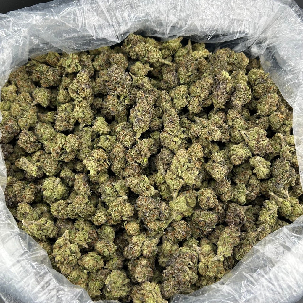 Passion Fruit Runtz FD#2535