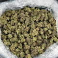 Passion Fruit Runtz FD#2535