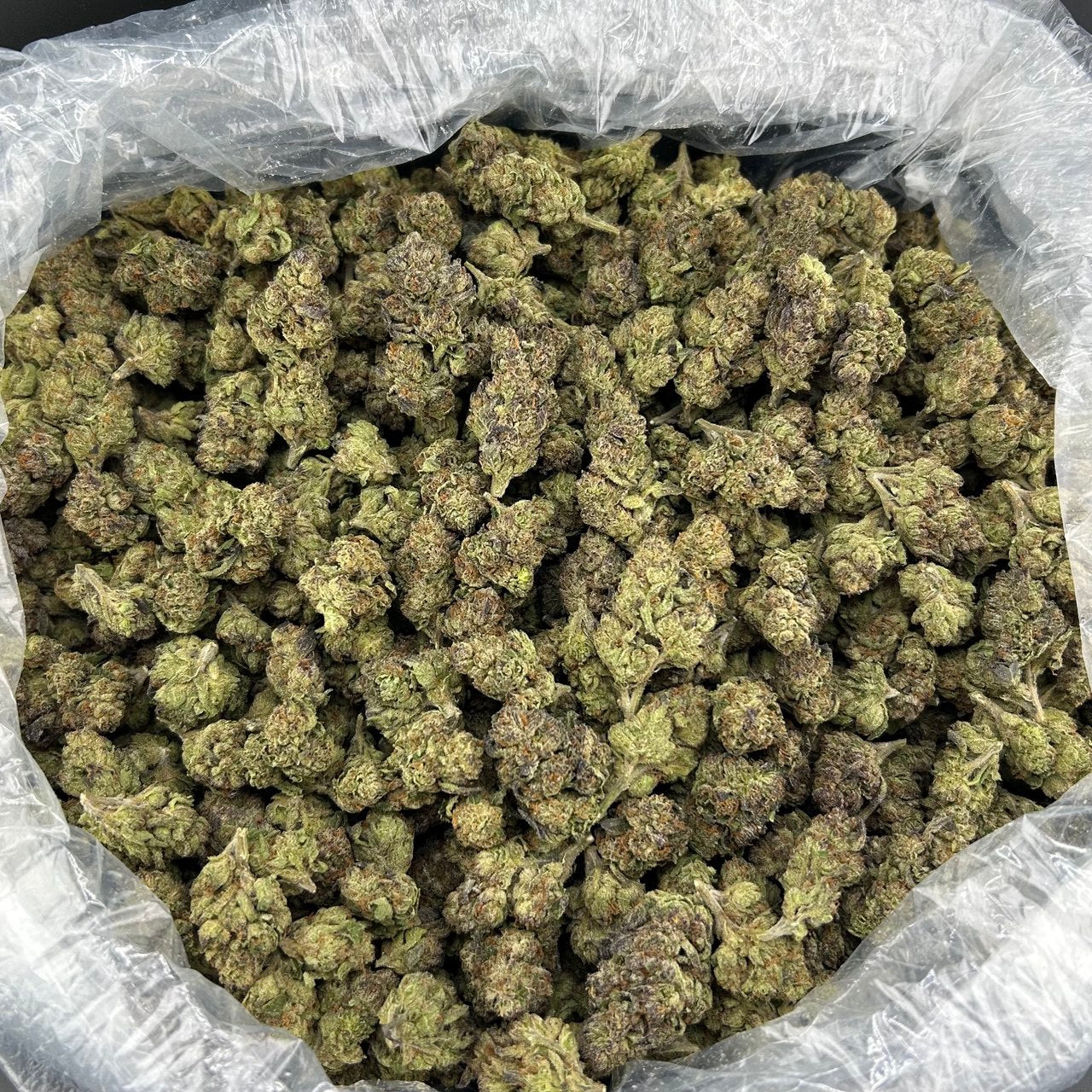Passion Fruit Runtz FD#2535