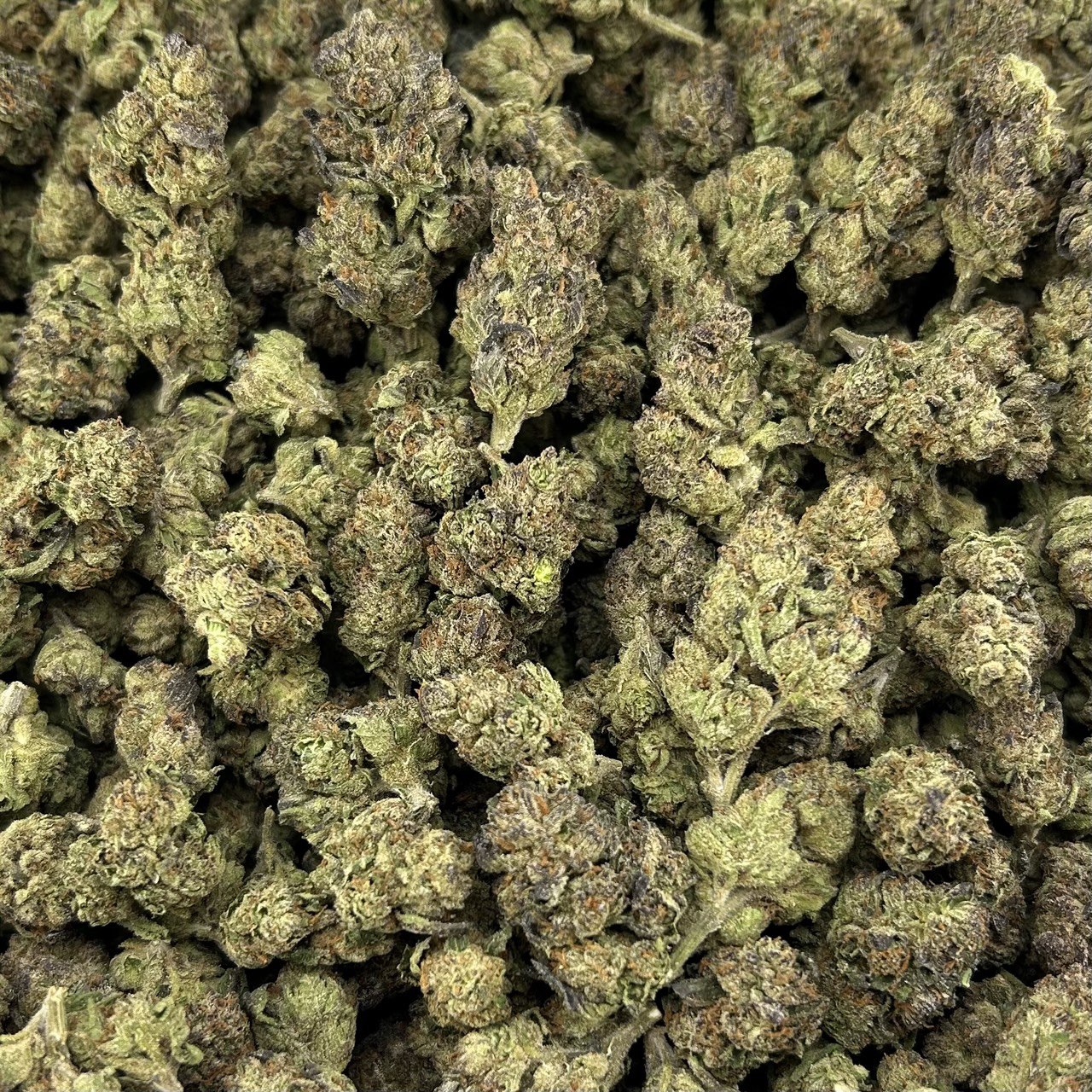 Passion Fruit Runtz FD#2535
