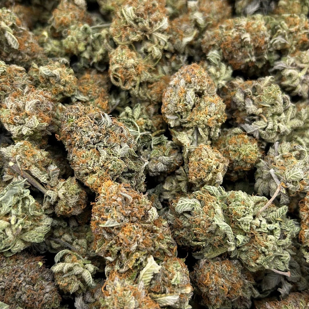Platinum Biscotti FD#2657