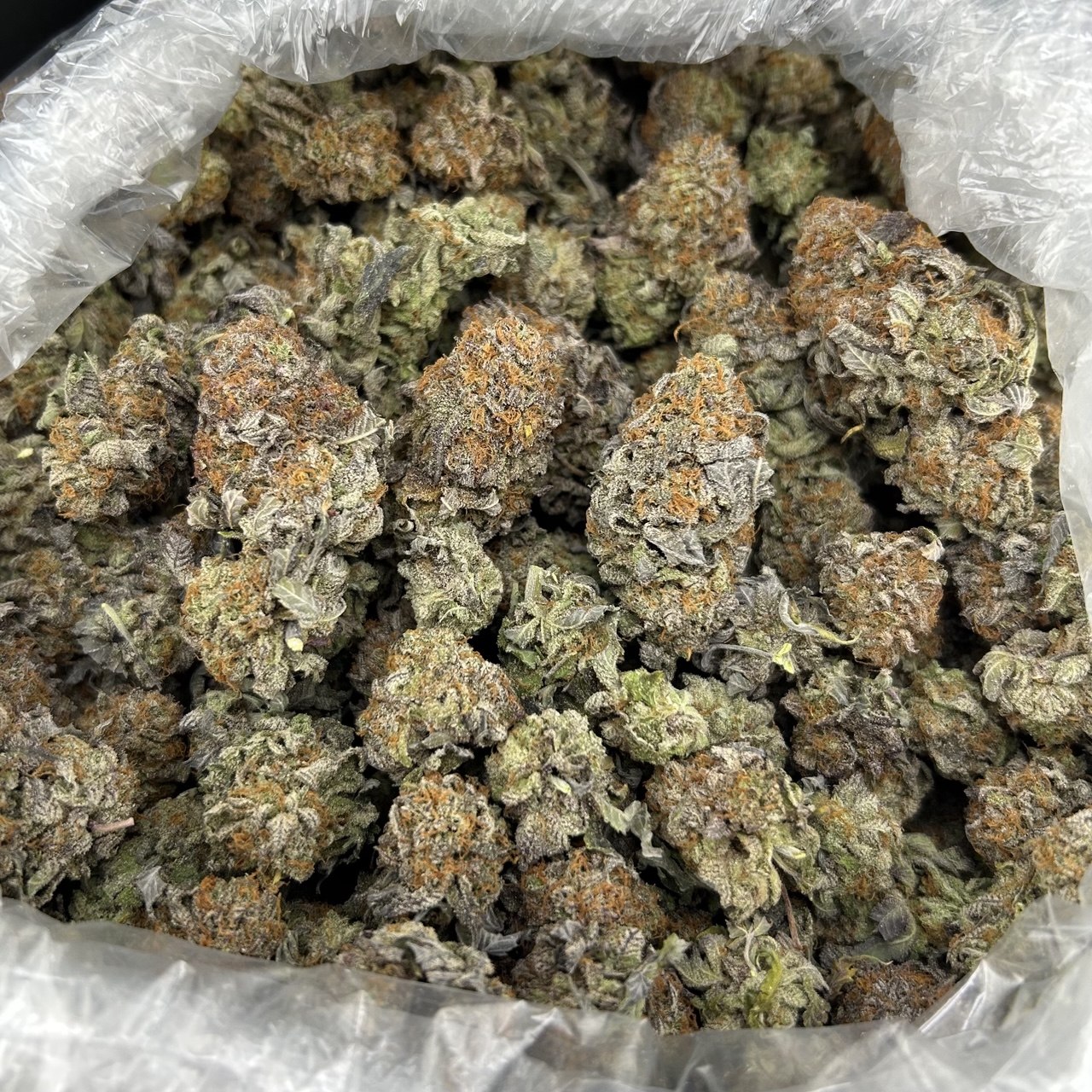 Platinum Truth FD#2658