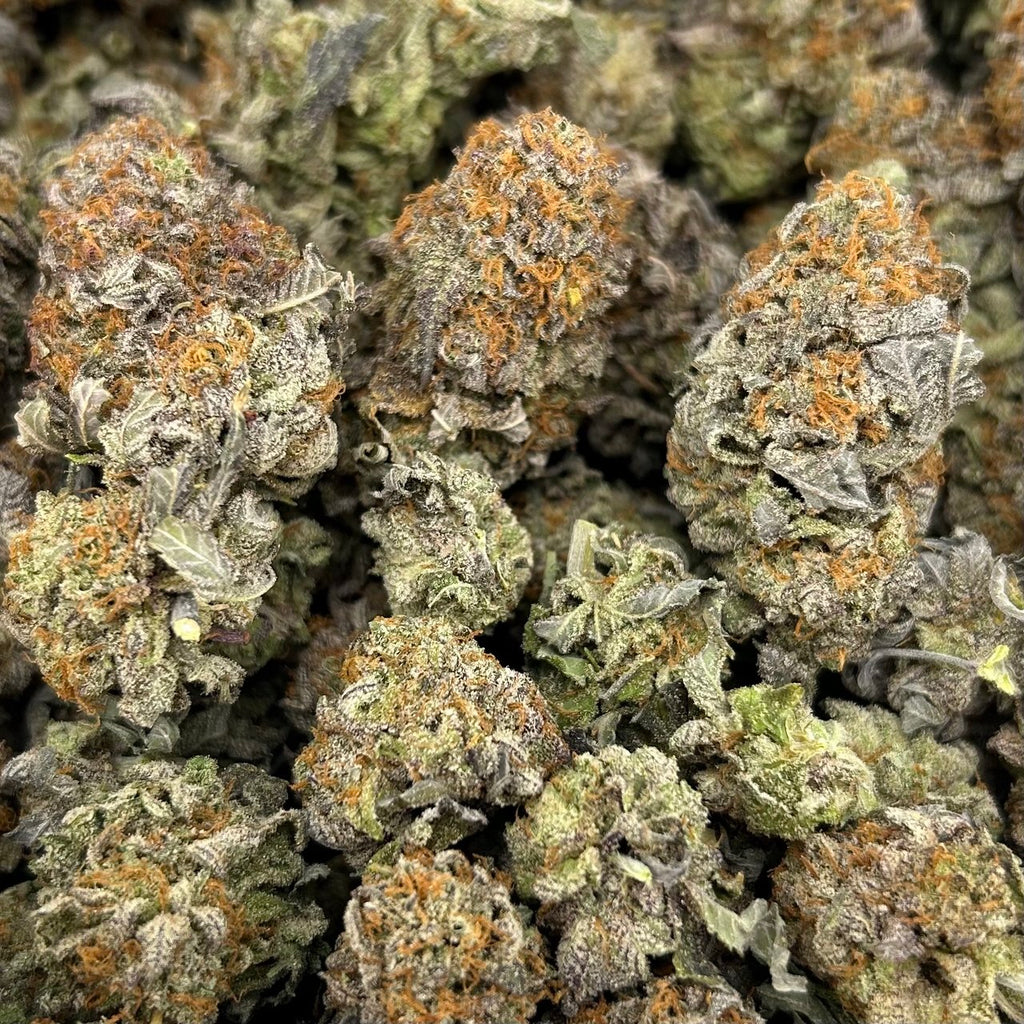 Platinum Truth FD#2658