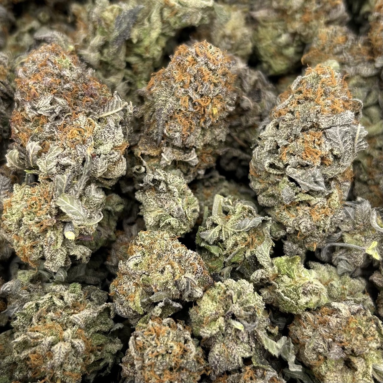 Platinum Truth FD#2658