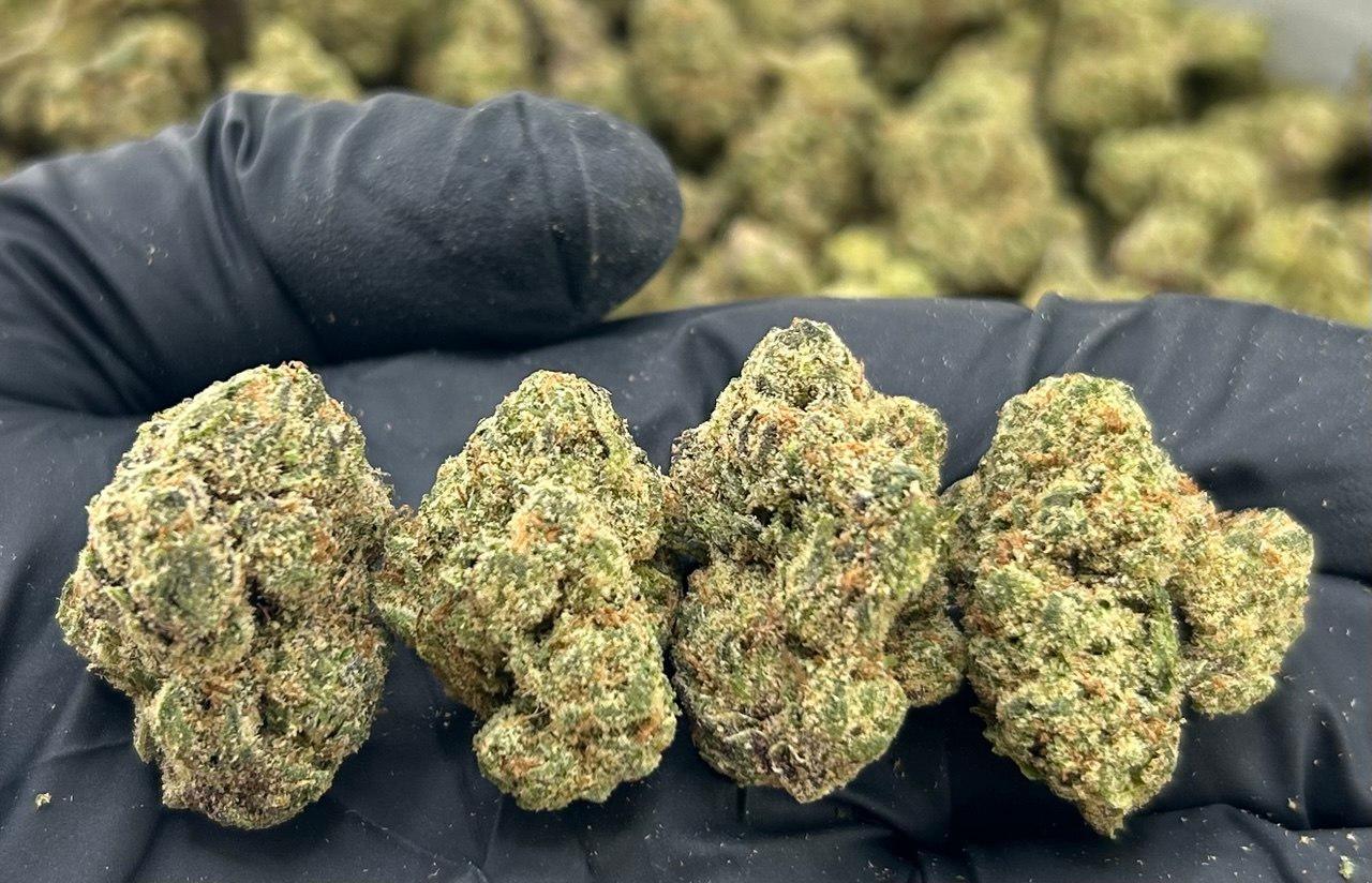 Passionfruit Gummiez FD#2250