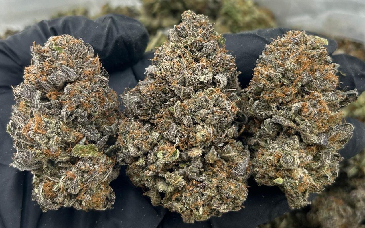 Priority Plats FD#2256