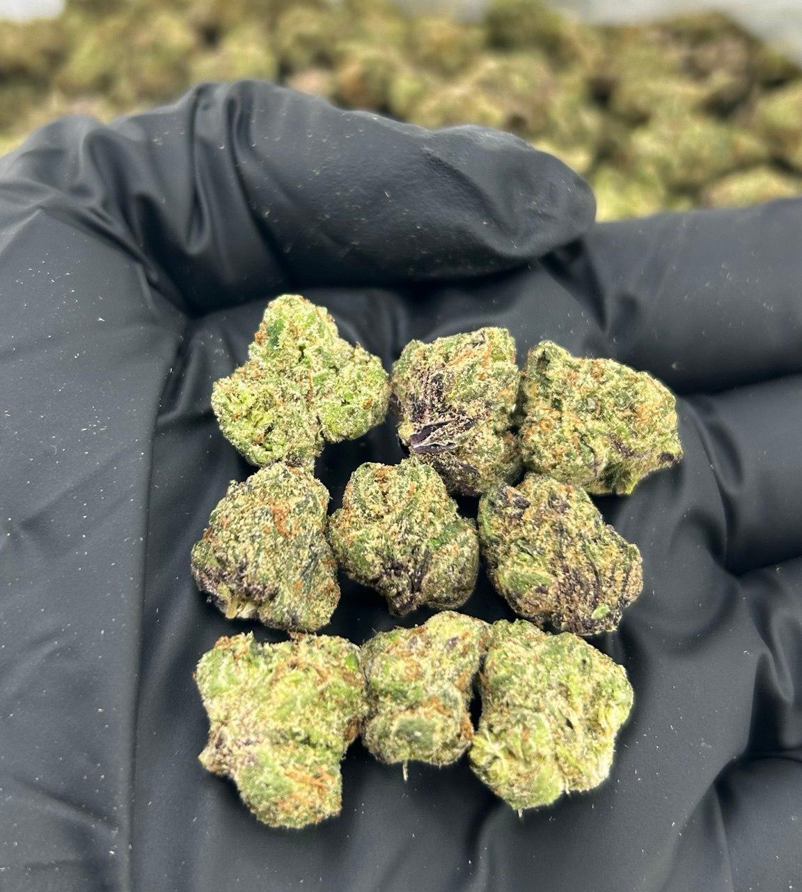 Rainbow Nerd Smalls FD#2204