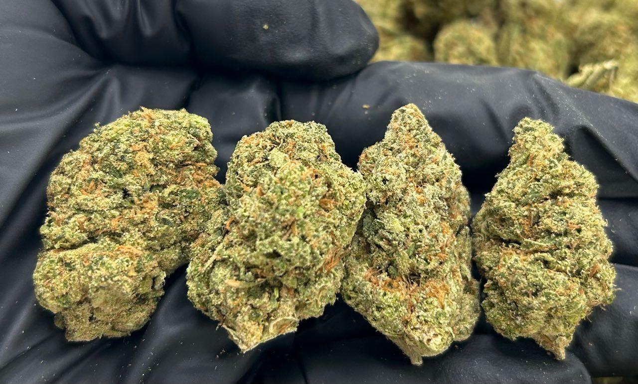 Strawberry Lemonade FD#2230