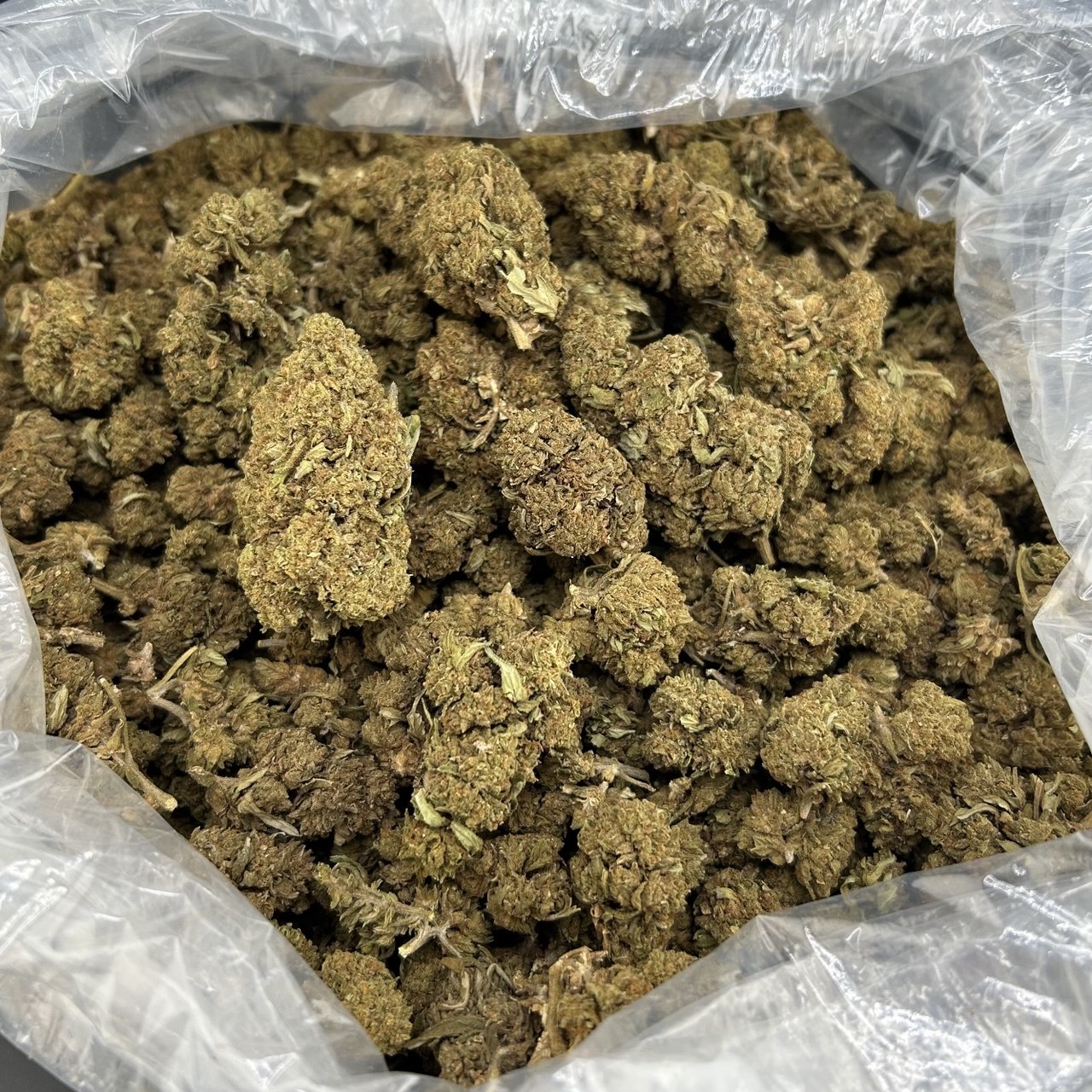 Toad Venom OG FD#2588