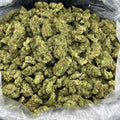 Yoda OG FD#2586