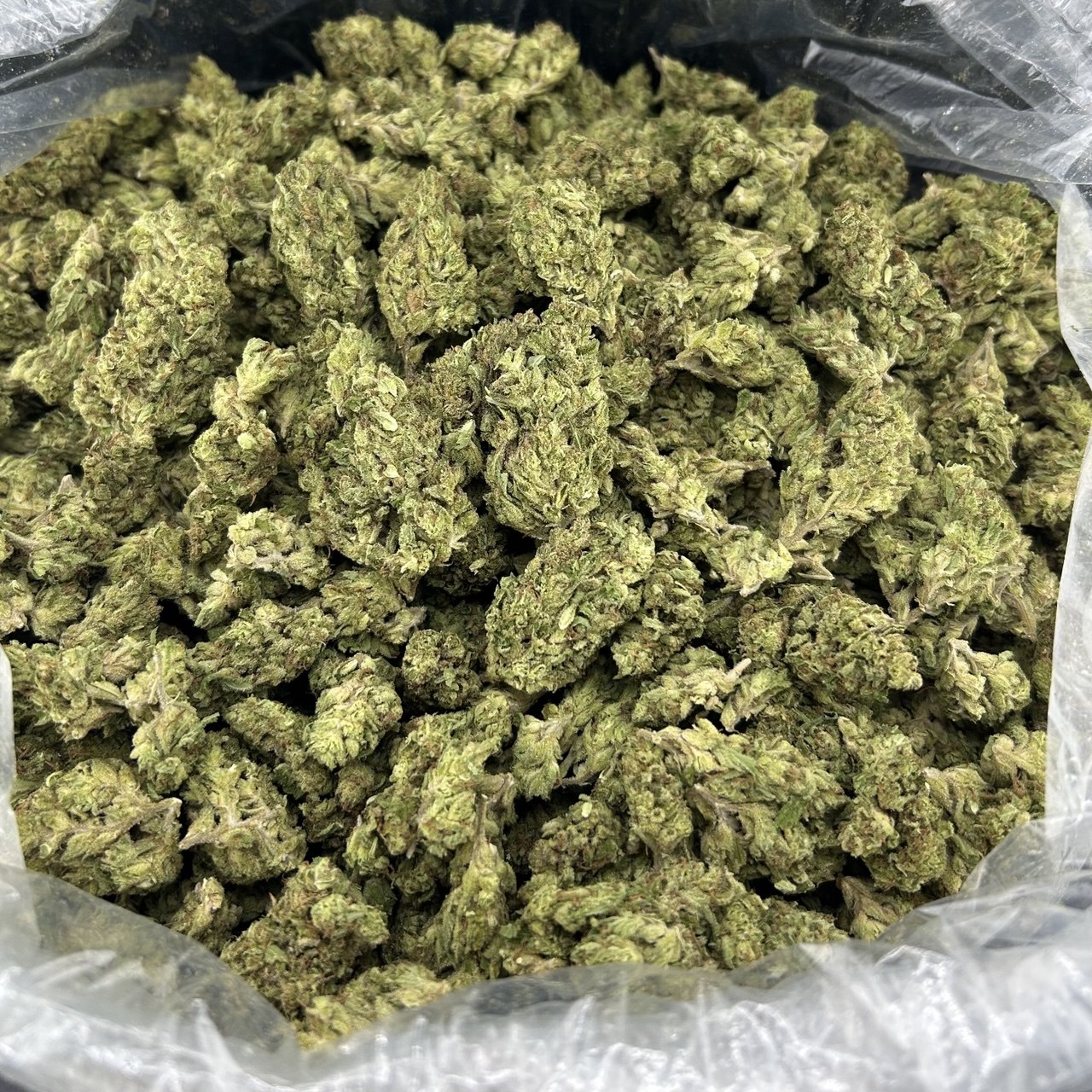 Yoda OG FD#2586