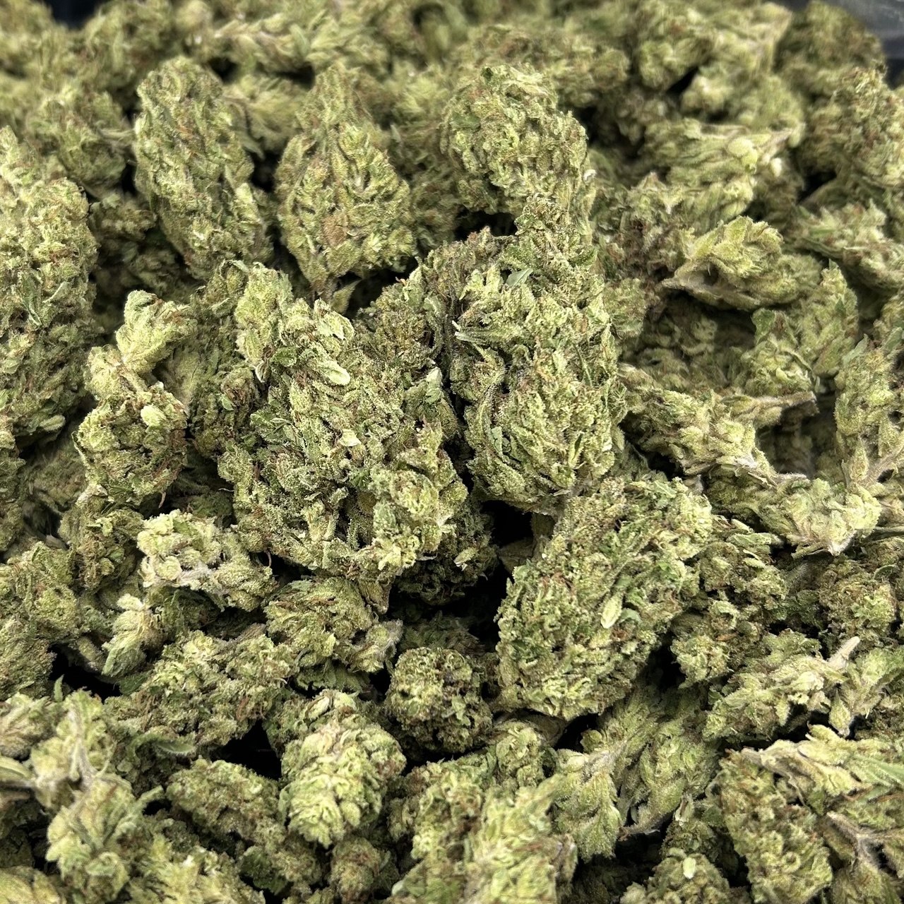 Yoda OG FD#2586